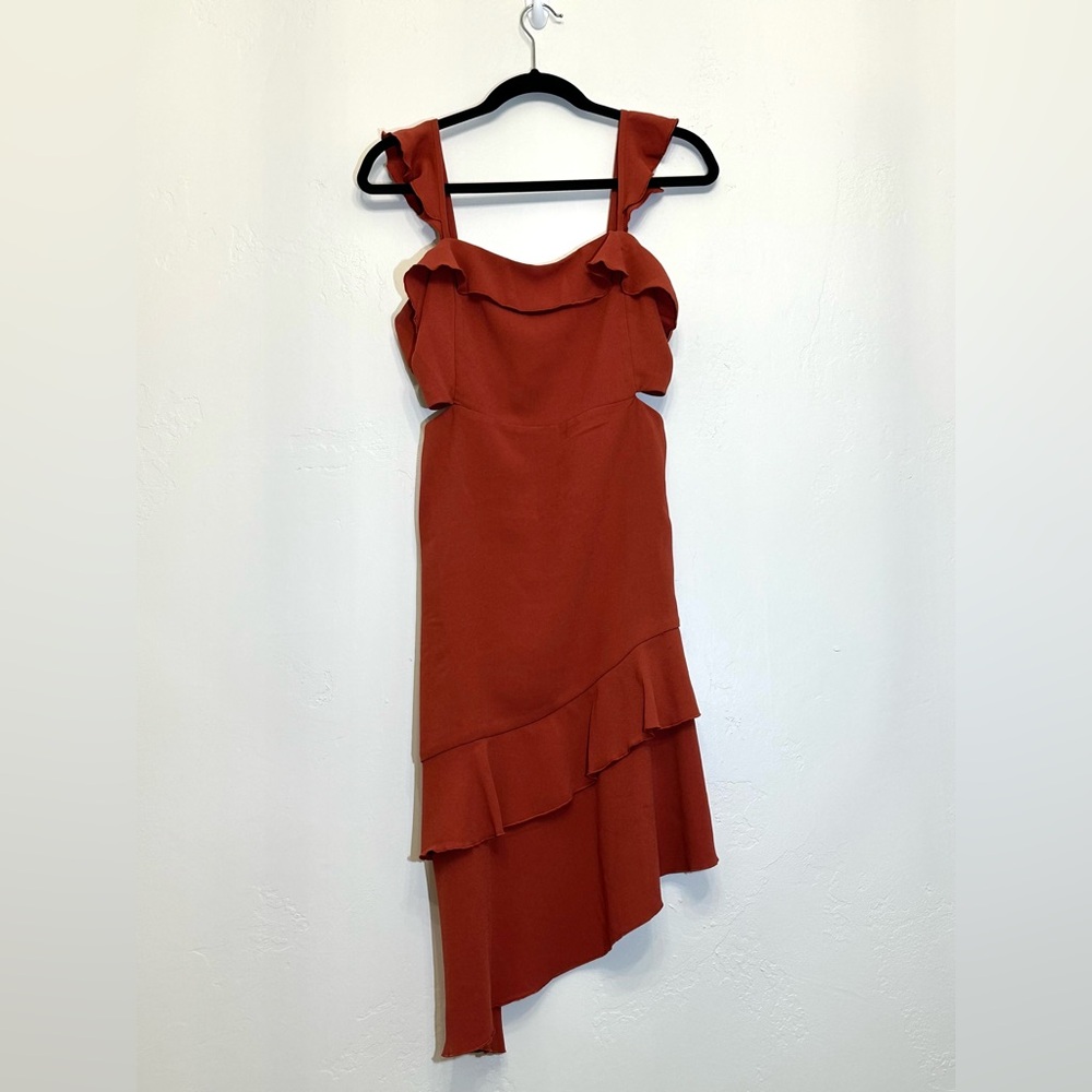 Ruffled Rust Dress